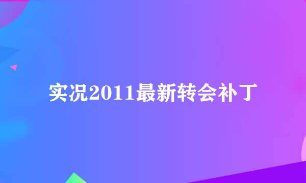 实况2011最新转会补丁