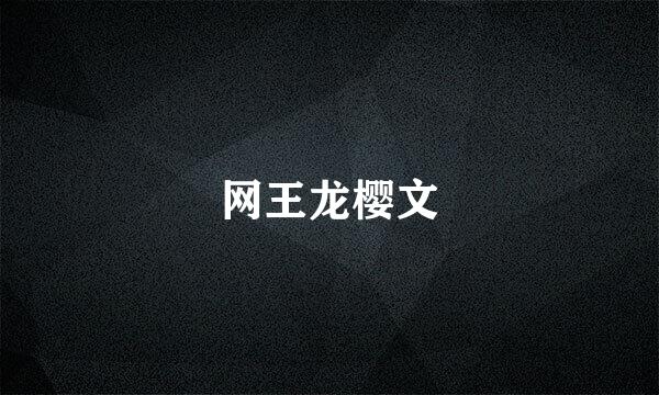 网王龙樱文