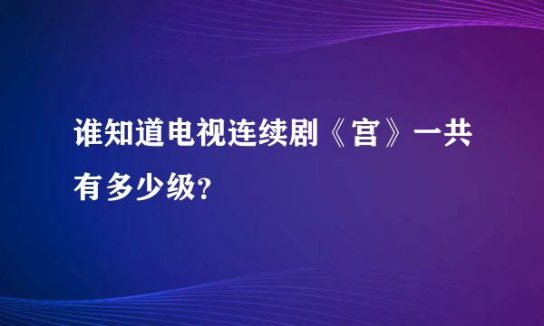 谁知道电视连续剧《宫》一共有多少级？