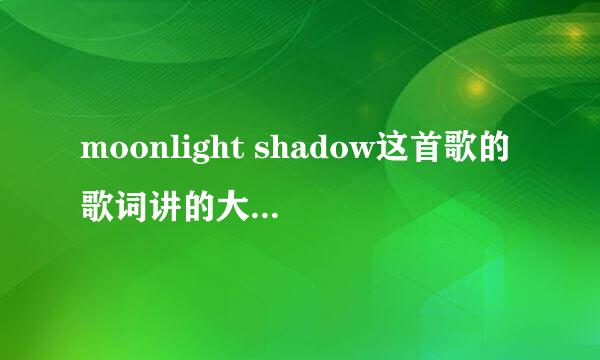 moonlight shadow这首歌的歌词讲的大概是什么意思啊