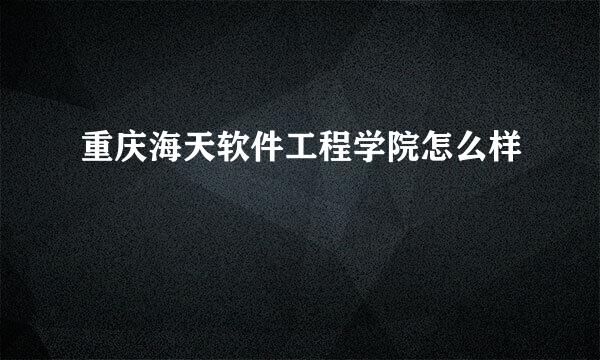 重庆海天软件工程学院怎么样