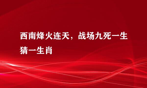 西南烽火连天，战场九死一生猜一生肖