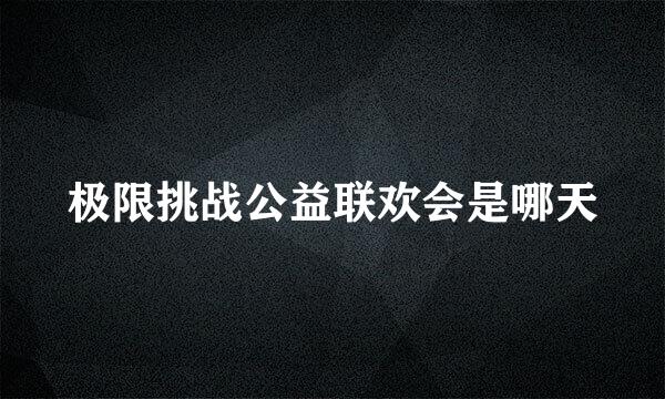 极限挑战公益联欢会是哪天