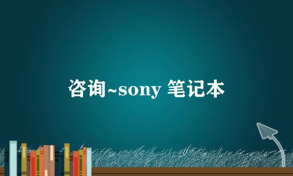 咨询~sony 笔记本