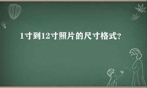 1寸到12寸照片的尺寸格式？