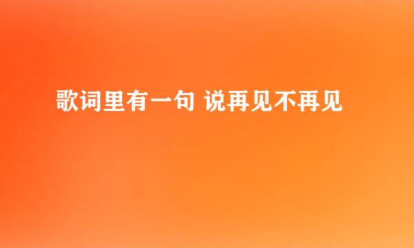 歌词里有一句 说再见不再见