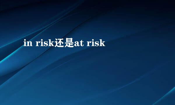 in risk还是at risk