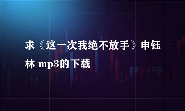 求《这一次我绝不放手》申钰林 mp3的下载