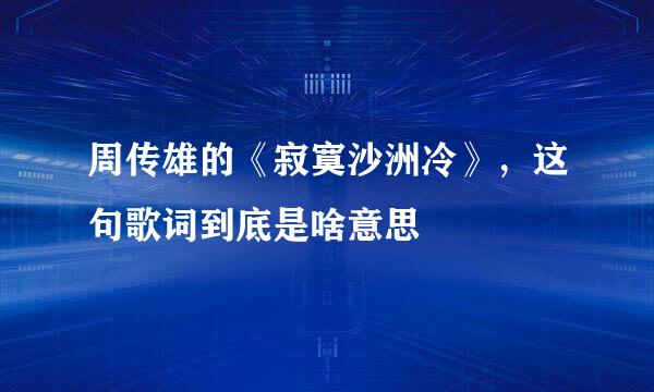 周传雄的《寂寞沙洲冷》，这句歌词到底是啥意思