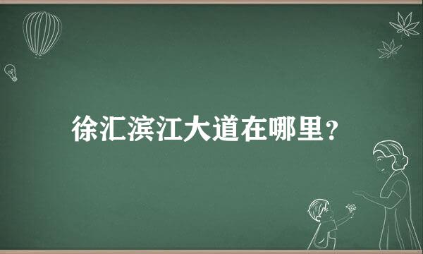 徐汇滨江大道在哪里？