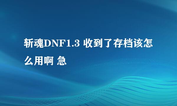 斩魂DNF1.3 收到了存档该怎么用啊 急