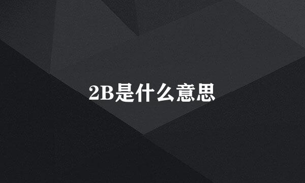 2B是什么意思