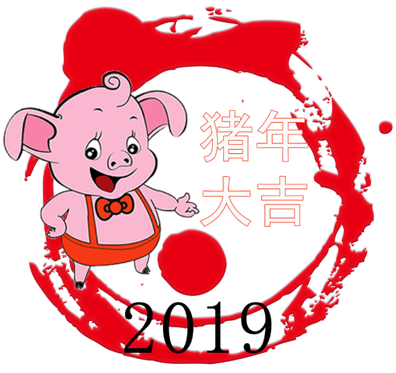 2019年的农历中没有立春这个节气对吗?