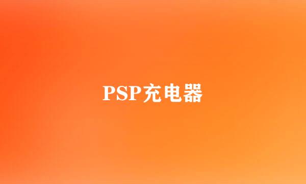 PSP充电器