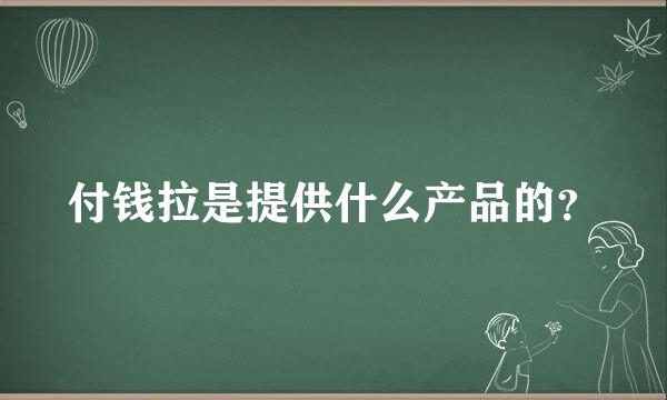 付钱拉是提供什么产品的？