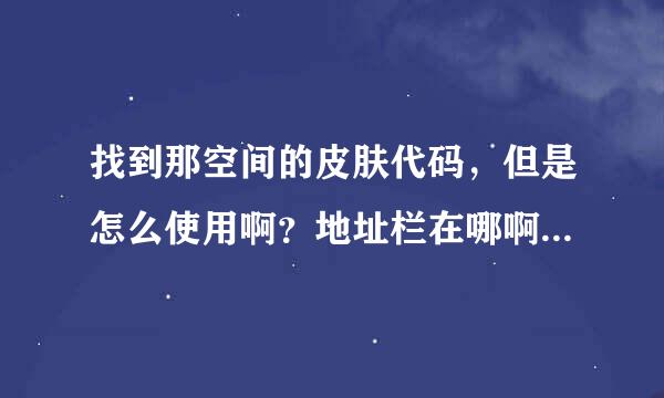 找到那空间的皮肤代码，但是怎么使用啊？地址栏在哪啊？能详细点的告诉我吗？