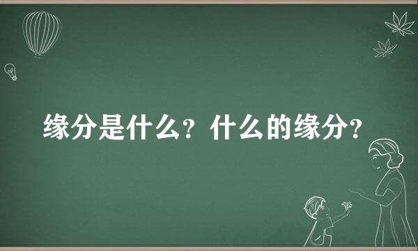 缘分是什么？什么的缘分？