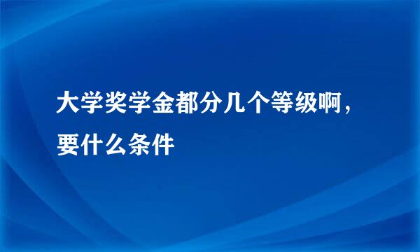 大学奖学金都分几个等级啊，要什么条件