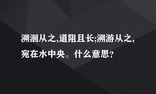 溯洄从之,道阻且长;溯游从之,宛在水中央。什么意思？