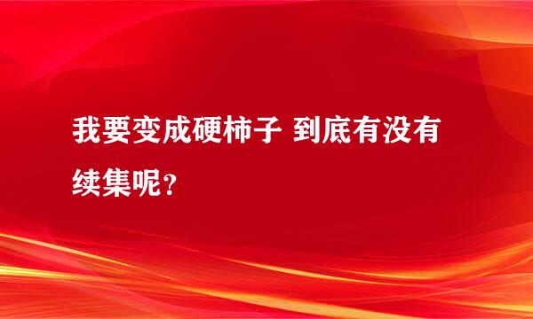 我要变成硬柿子 到底有没有续集呢？