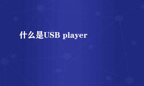 什么是USB player