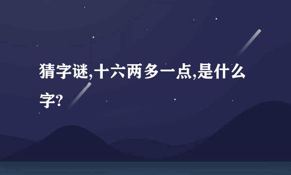 猜字谜,十六两多一点,是什么字?