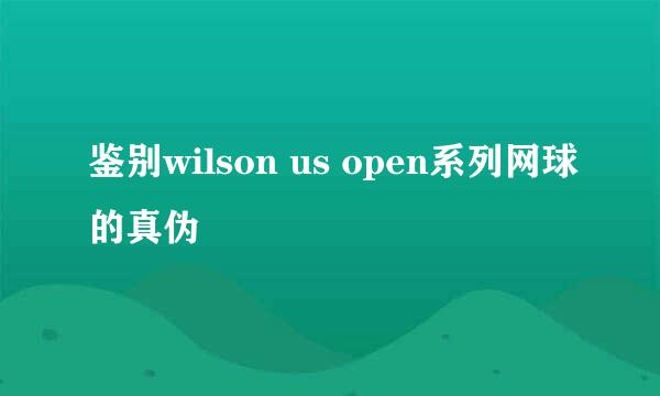 鉴别wilson us open系列网球的真伪