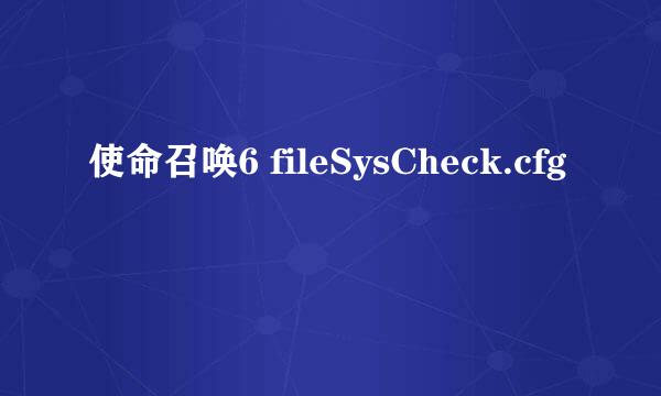 使命召唤6 fileSysCheck.cfg