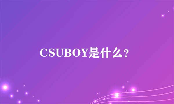 CSUBOY是什么？