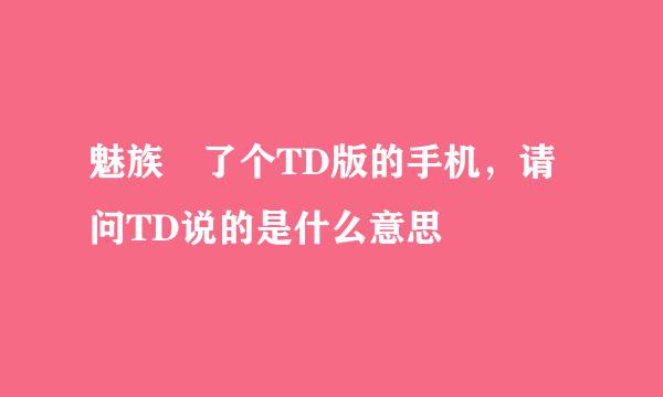 魅族岀了个TD版的手机，请问TD说的是什么意思