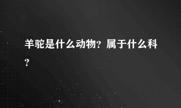 羊驼是什么动物？属于什么科？