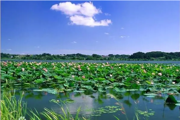 微山湖在哪