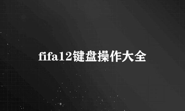 fifa12键盘操作大全