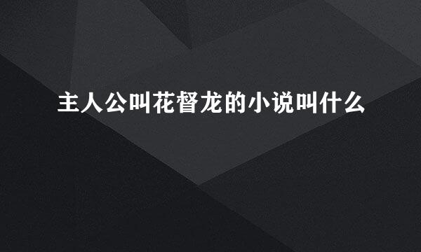 主人公叫花督龙的小说叫什么