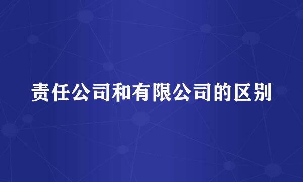 责任公司和有限公司的区别