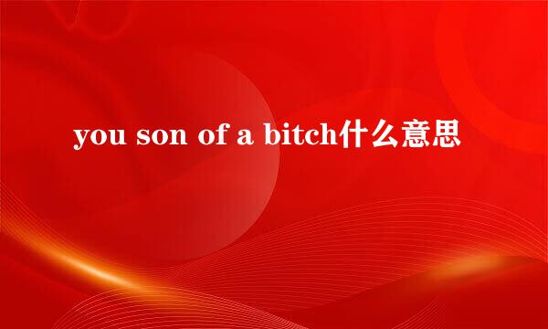 you son of a bitch什么意思