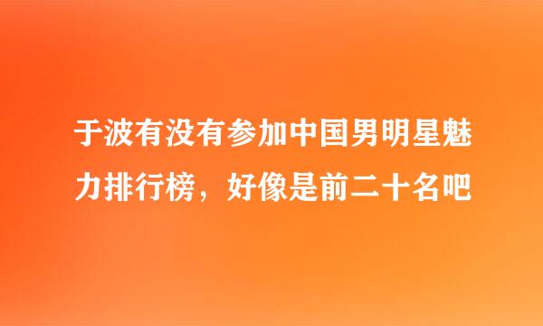 于波有没有参加中国男明星魅力排行榜，好像是前二十名吧