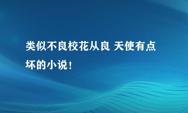 类似不良校花从良 天使有点坏的小说！