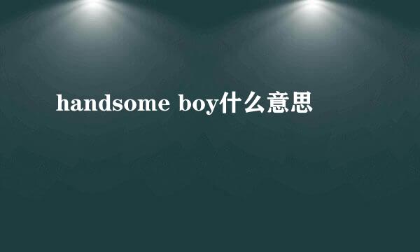 handsome boy什么意思