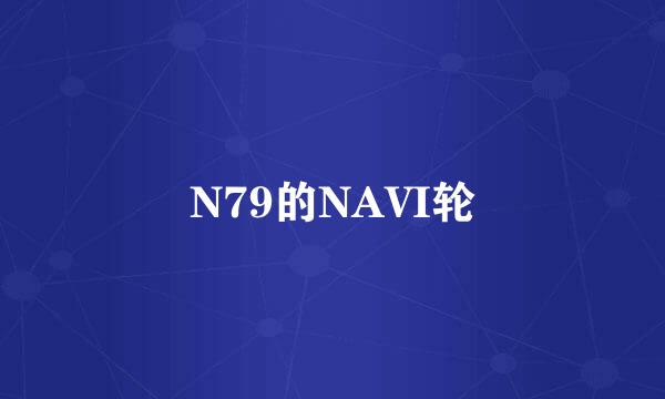 N79的NAVI轮