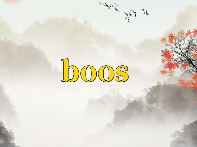 boos代表什么意思