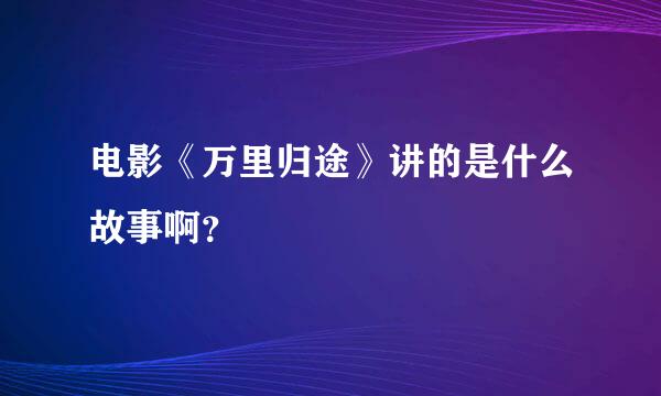 电影《万里归途》讲的是什么故事啊？