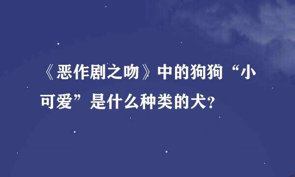 《恶作剧之吻》中的狗狗“小可爱”是什么种类的犬？