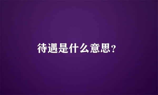 待遇是什么意思？