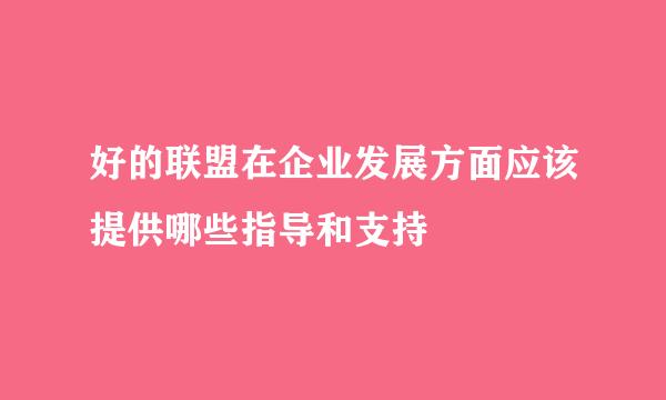 好的联盟在企业发展方面应该提供哪些指导和支持