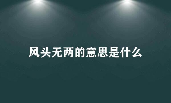 风头无两的意思是什么