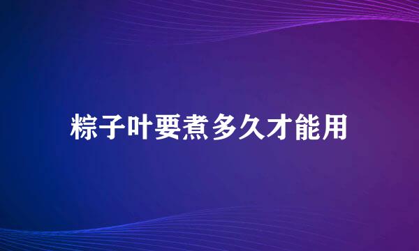 粽子叶要煮多久才能用