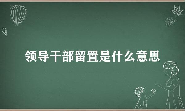 领导干部留置是什么意思