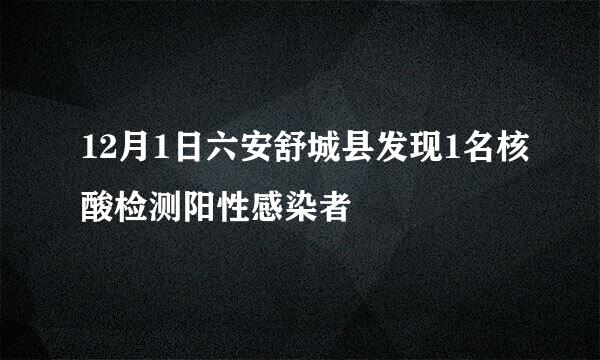 12月1日六安舒城县发现1名核酸检测阳性感染者