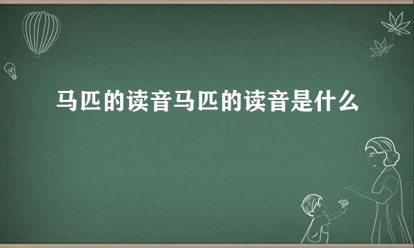 马匹的读音马匹的读音是什么